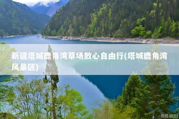 新疆塔城鹿角湾草场散心自由行(塔城鹿角湾风景区)