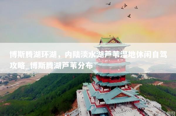 博斯腾湖环湖，内陆淡水湖芦苇湿地休闲自驾攻略_博斯腾湖芦苇分布