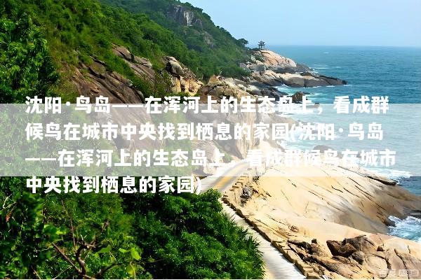 沈阳·鸟岛——在浑河上的生态岛上，看成群候鸟在城市中央找到栖息的家园(沈阳·鸟岛——在浑河上的生态岛上，看成群候鸟在城市中央找到栖息的家园)
