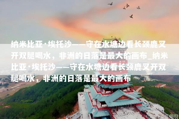 纳米比亚·埃托沙——守在水塘边看长颈鹿叉开双腿喝水，非洲的日落是最大的画布_纳米比亚·埃托沙——守在水塘边看长颈鹿叉开双腿喝水，非洲的日落是最大的画布