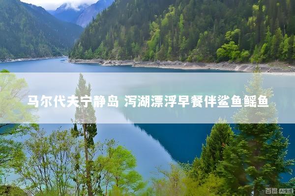 马尔代夫宁静岛 泻湖漂浮早餐伴鲨鱼鳐鱼