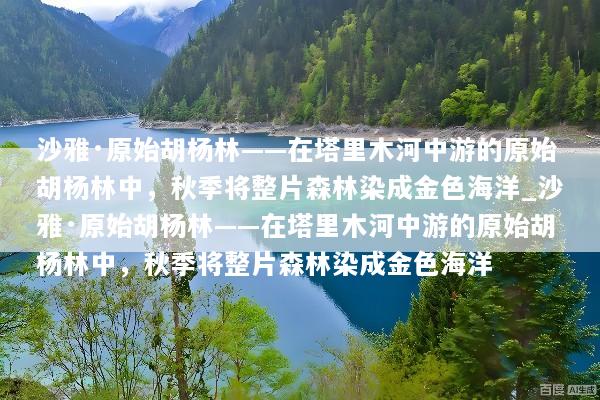沙雅·原始胡杨林——在塔里木河中游的原始胡杨林中，秋季将整片森林染成金色海洋_沙雅·原始胡杨林——在塔里木河中游的原始胡杨林中，秋季将整片森林染成金色海洋