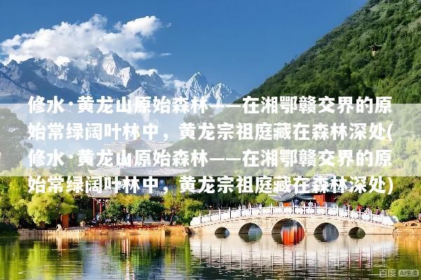 修水·黄龙山原始森林——在湘鄂赣交界的原始常绿阔叶林中，黄龙宗祖庭藏在森林深处(修水·黄龙山原始森林——在湘鄂赣交界的原始常绿阔叶林中，黄龙宗祖庭藏在森林深处)