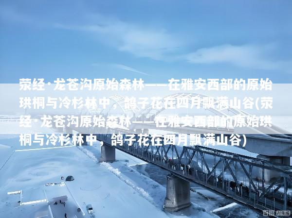 荥经·龙苍沟原始森林——在雅安西部的原始珙桐与冷杉林中，鸽子花在四月飘满山谷(荥经·龙苍沟原始森林——在雅安西部的原始珙桐与冷杉林中，鸽子花在四月飘满山谷)