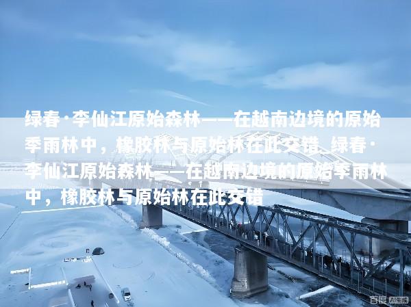 绿春·李仙江原始森林——在越南边境的原始季雨林中，橡胶林与原始林在此交错_绿春·李仙江原始森林——在越南边境的原始季雨林中，橡胶林与原始林在此交错