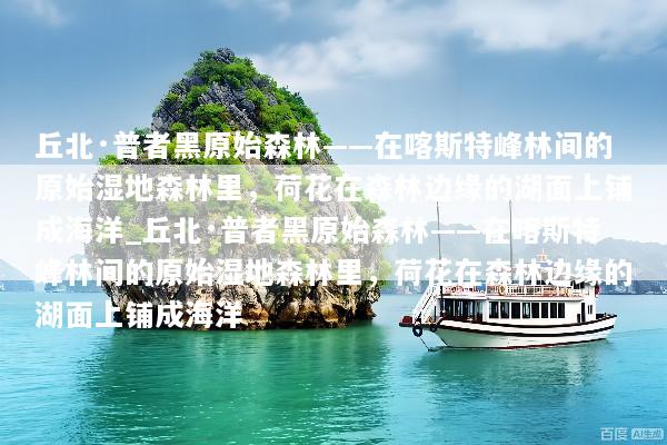 丘北·普者黑原始森林——在喀斯特峰林间的原始湿地森林里，荷花在森林边缘的湖面上铺成海洋_丘北·普者黑原始森林——在喀斯特峰林间的原始湿地森林里，荷花在森林边缘的湖面上铺成海洋