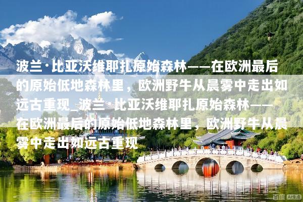 波兰·比亚沃维耶扎原始森林——在欧洲最后的原始低地森林里，欧洲野牛从晨雾中走出如远古重现_波兰·比亚沃维耶扎原始森林——在欧洲最后的原始低地森林里，欧洲野牛从晨雾中走出如远古重现