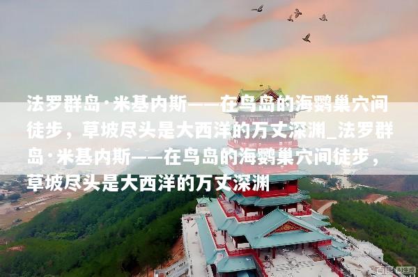 法罗群岛·米基内斯——在鸟岛的海鹦巢穴间徒步，草坡尽头是大西洋的万丈深渊_法罗群岛·米基内斯——在鸟岛的海鹦巢穴间徒步，草坡尽头是大西洋的万丈深渊