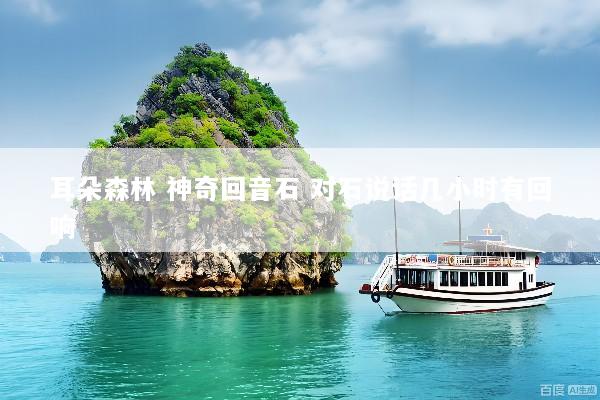 耳朵森林 神奇回音石 对石说话几小时有回响