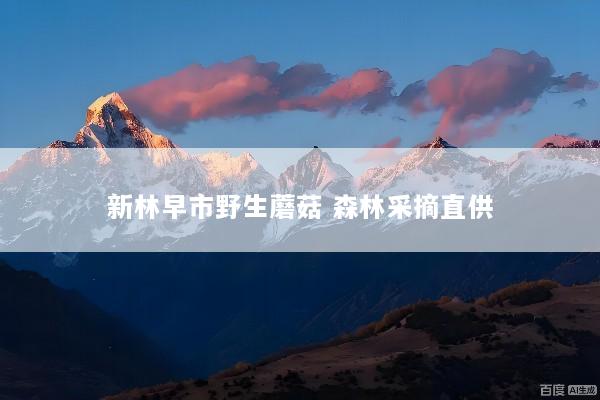 新林早市野生蘑菇 森林采摘直供