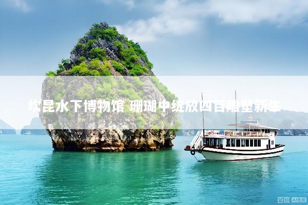 坎昆水下博物馆 珊瑚中绽放四百雕塑新生