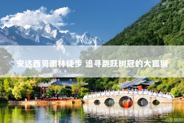 安达西贝雨林徒步 追寻跳跃树冠的大狐猴