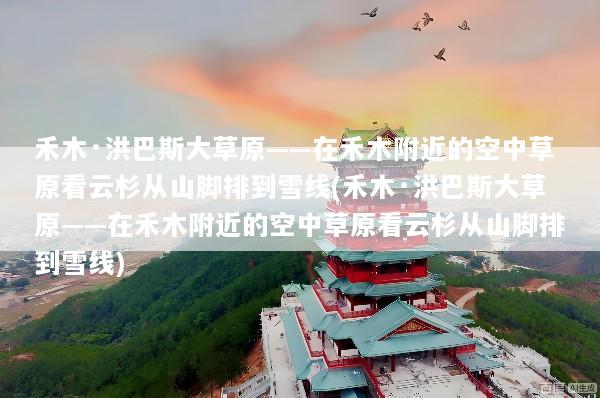 禾木·洪巴斯大草原——在禾木附近的空中草原看云杉从山脚排到雪线(禾木·洪巴斯大草原——在禾木附近的空中草原看云杉从山脚排到雪线)